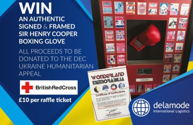 Boxing Glove Giveaway